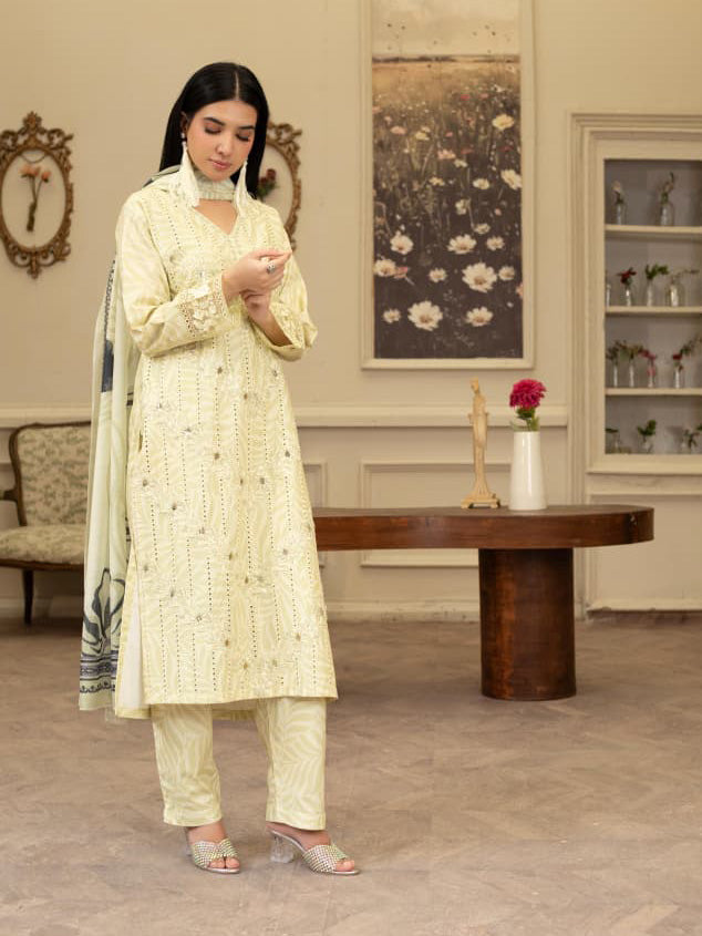 Cream Embroidered Winter Cotton Chikankari Suit